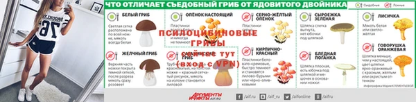прущие крисы Карпинск