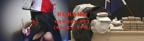 прущие крисы Карпинск