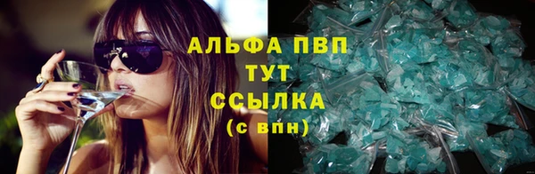 прущие крисы Карпинск